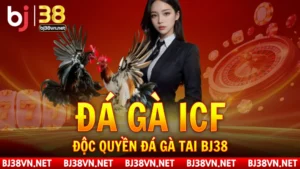 Sảnh đá gà ICF